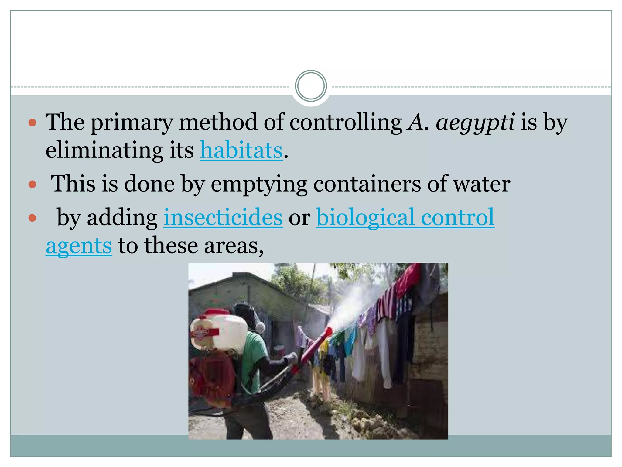  The primary method of controlling A. aegypti is by
  eliminating its habitats.
 This is done by emptying containers of water
 by adding insecticides or biological control
  agents to these areas,
 