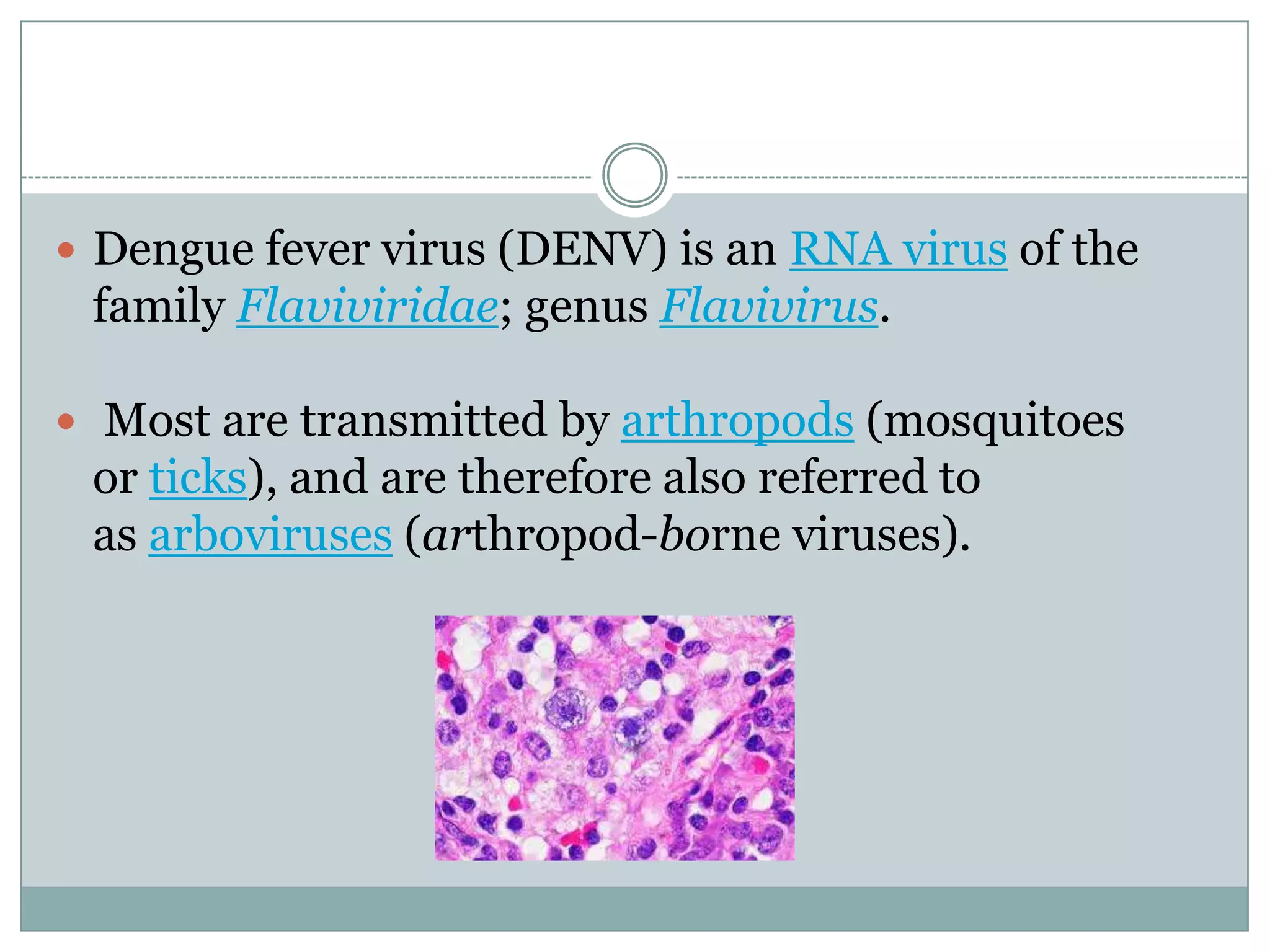  Dengue fever virus (DENV) is an RNA virus of the
 family Flaviviridae; genus Flavivirus.

 Most are transmitted by arthropods (mosquitoes
 or ticks), and are therefore also referred to
 as arboviruses (arthropod-borne viruses).
 