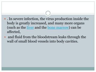  . In severe infection, the virus production inside the
  body is greatly increased, and many more organs
  (such as the liver and the bone marrow) can be
  affected,
 and fluid from the bloodstream leaks through the
  wall of small blood vessels into body cavities.
 
