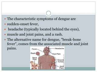  The characteristic symptoms of dengue are
 sudden-onset fever,
 headache (typically located behind the eyes),
 muscle and joint pains, and a rash.
 The alternative name for dengue, "break-bone
 fever", comes from the associated muscle and joint
 pains.
 