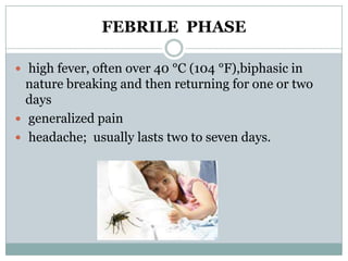 FEBRILE PHASE

 high fever, often over 40 °C (104 °F),biphasic in
  nature breaking and then returning for one or two
  days
 generalized pain
 headache; usually lasts two to seven days.
 