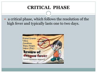 CRITICAL PHASE

 a critical phase, which follows the resolution of the
 high fever and typically lasts one to two days.
 
