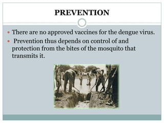 PREVENTION

 There are no approved vaccines for the dengue virus.
 Prevention thus depends on control of and
 protection from the bites of the mosquito that
 transmits it.
 