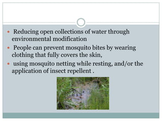  Reducing open collections of water through
  environmental modification
 People can prevent mosquito bites by wearing
  clothing that fully covers the skin,
 using mosquito netting while resting, and/or the
  application of insect repellent .
 