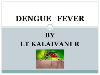 DENGUE FEVER

      BY
LT KALAIVANI R
 