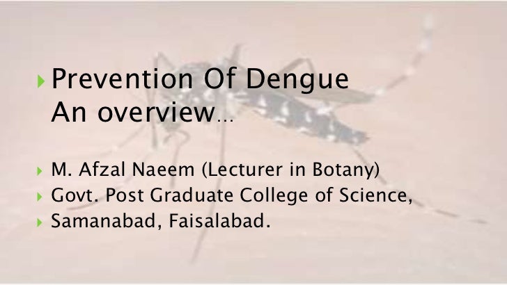 essays about dengue essays about dengue