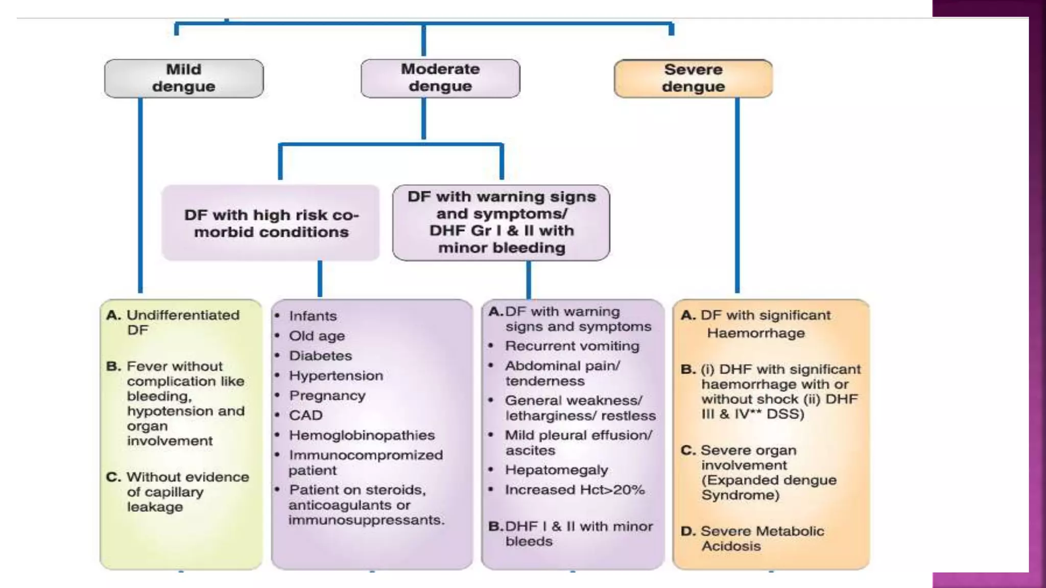 dengue fever protocol-1.pptx