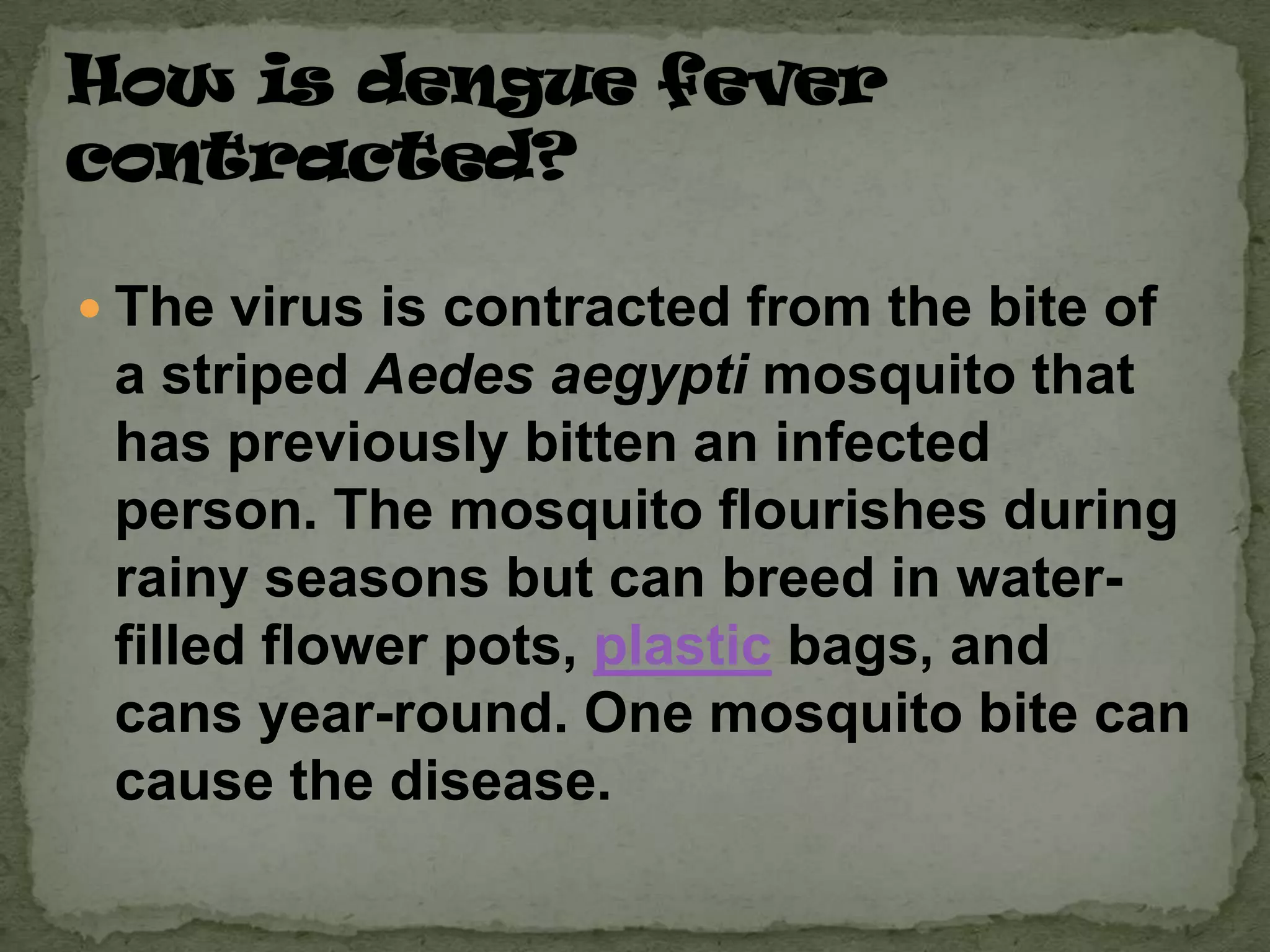  The virus is contracted from the bite of
 a striped Aedes aegypti mosquito that
 has previously bitten an infected
 person. The mosquito flourishes during
 rainy seasons but can breed in water-
 filled flower pots, plastic bags, and
 cans year-round. One mosquito bite can
 cause the disease.
 