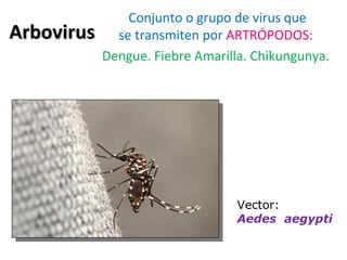 ArbovirusArbovirus
 Conjunto o grupo de virus que 
se transmiten por ARTRÓPODOS:
Dengue. Fiebre Amarilla. Chikungunya.
Vector:
Aedes aegypti
 