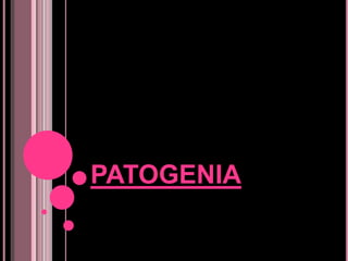 PATOGENIA
 
