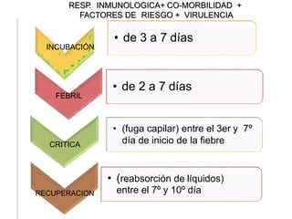 INCUBACIÓN
• de 3 a 7 días
FEBRIL
• de 2 a 7 días
CRITICA
• (fuga capilar) entre el 3er y 7º
día de inicio de la fiebre
RECUPERACION
• (reabsorción de líquidos)
entre el 7º y 10º día
RESP. INMUNOLOGICA+ CO-MORBILIDAD +
FACTORES DE RIESGO + VIRULENCIA
 