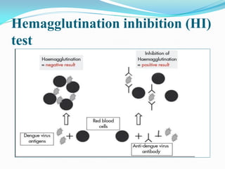 Hemagglutination inhibition (HI)
test
 