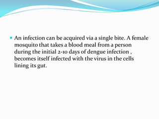  An infection can be acquired via a single bite. A female
mosquito that takes a blood meal from a person
during the initial 2-10 days of dengue infection ,
becomes itself infected with the virus in the cells
lining its gut.
 