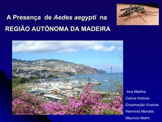 A Presença de Aedes aegypti na
REGIÃO AUTÓNOMA DA MADEIRA




                                 Ana Martins
                                 Carina António
                                 Encarnação Viveiros
                                 Hermínia Mendes
                                 Maurício Melim
 