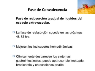 Fase de Convalecencia Fase de reabsorción gradual de líquidos del espacio extravascular. La fase de reabsorción sucede en las próximas 48-72 hrs. Mejoran los indicadores hemodinámicas. Clínicamente desparecen los síntomas gastrointestinales, puede aparecer piel moteada, bradicardia y en ocasiones prurito  