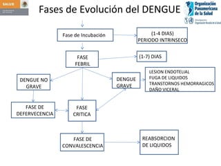 Fases de Evolución del DENGUE Fase de Incubación FASE FEBRIL DENGUE NO GRAVE DENGUE GRAVE FASE CRITICA FASE DE CONVALESCENCIA (1-4 DIAS) PERIODO INTRINSECO (1-7) DIAS LESION ENDOTELIAL FUGA DE LIQUIDOS TRANSTORNOS HEMORRAGICOS DAÑO VICERAL REABSORCION DE LIQUIDOS FASE DE DEFERVECENCIA 