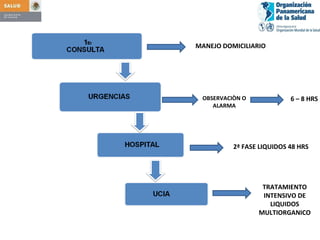 MANEJO DOMICILIARIO 6 – 8 HRS 2ª FASE LIQUIDOS 48 HRS TRATAMIENTO INTENSIVO DE LIQUIDOS MULTIORGANICO OBSERVACIÒN O ALARMA 