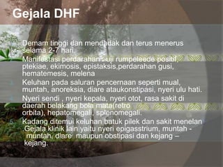 Gejala DHF
1. Demam tinggi dan mendadak dan terus menerus
selama 2-7 hari.
2. Manifestasi perdarahan : uji rumpeleede positif,
ptekiae, ekimosis, epistaksis,perdarahan gusi,
hematemesis, melena
3. Keluhan pada saluran pencernaan seperti mual,
muntah, anoreksia, diare ataukonstipasi, nyeri ulu hati.
4. Nyeri sendi , nyeri kepala, nyeri otot, rasa sakit di
daerah belakang bola mata(retro
orbita), hepatomegali, splenomegali.
5. Kadang ditemui keluhan batuk pilek dan sakit menelan
.Gejala klinik lain yaitu nyeri epigasstrium, muntah -
muntah, diare maupun obstipasi dan kejang –
kejang.
 