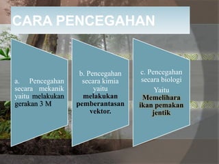 CARA PENCEGAHAN
a. Pencegahan
secara mekanik
yaitu melakukan
gerakan 3 M
b. Pencegahan
secara kimia
yaitu
melakukan
pemberantasan
vektor.
c. Pencegahan
secara biologi
Yaitu
Memelihara
ikan pemakan
jentik
 