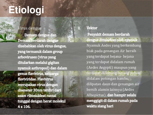 Dengue hemoragic fever (dhf)