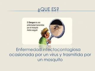 ¿QUE ES?




  Enfermedad infectocontagiosa
ocasionada por un virus y trasmitida por
            un mosquito
 