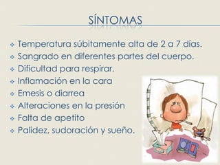 SÍNTOMAS

   Temperatura súbitamente alta de 2 a 7 días.
   Sangrado en diferentes partes del cuerpo.
   Dificultad para respirar.
   Inflamación en la cara
   Emesis o diarrea
   Alteraciones en la presión
   Falta de apetito
   Palidez, sudoración y sueño.
 