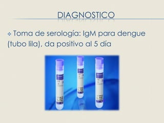 DIAGNOSTICO

 Toma de serología: IgM para dengue
(tubo lila), da positivo al 5 día
 