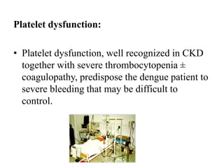 Platelet dysfunction:
• Platelet dysfunction, well recognized in CKD
together with severe thrombocytopenia ±
coagulopathy, predispose the dengue patient to
severe bleeding that may be difficult to
control.
 