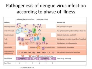 Pathogenesis of dengue virus infection
according to phase of illness
Lancet 2015;385:453-65
 
