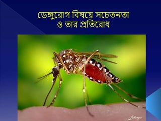 Update to Dengue awareness in Bangla