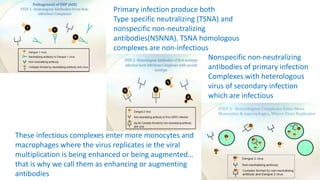 Primary infection produce both
Type specific neutralizing (TSNA) and
nonspecific non-neutralizing
antibodies(NSNNA). TSNA ...