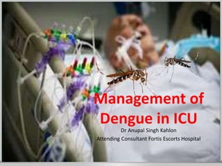 Management of
Dengue in ICU
Dr Anupal Singh Kahlon
Attending Consultant Fortis Escorts Hospital
 