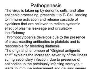 Pathogenesis
lThe virus is taken up by dendritic cells, and after
antigenic processing, presents it to T- Cell, leading
to immune activation and release cascade of
cytokines that are believed to mdiate systemic
effect of plasma leakeage and circulatory
insufficiency.
lThrombocytopenia develops due to the presence
of cross-reacting antibodies to platelets and is
responsible for bleeding diathesis.
lThe original phenomeon of “Original antigenic
shift” explains the increased severuty of the illness
suring secondary infection, due to presence of
antibodies to the previously infecting serotype.it
 