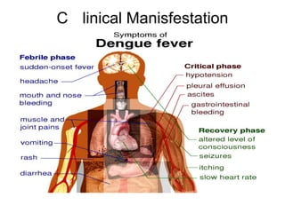 C linical Manisfestation
 