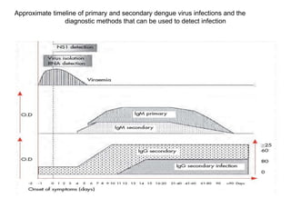 Approximate timeline of primary and secondary dengue virus infections and the
diagnostic methods that can be used to detect infection
 