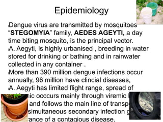 Epidemiology
lDengue virus are transmitted by mosquitoes
“STEGOMYIA” family, AEDES AGEYTI, a day
time biting mosquito, is the principal vector.
lA. Aegyti, is highly urbanised , breeding in water
stored for drinking or bathing and in rainwater
collected in any container .
lMore than 390 million dengue infections occur
annually, 96 million have clincial diseases,
lA. Aegyti has limited flight range, spread of
epidemic occcurs mainly through viremic human
beings and follows the main line of transportation,
nearly simultaneous secondary infection give the
appearance of a contagious disease.
 