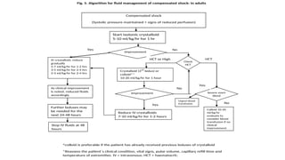 DENGUE MANAGEMENT- AS PER LATEST WHO GUIDELINES | PPT