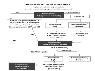 Dengue Management Ppt Pptx