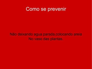 Como se prevenir
Não deixando agua parada,colocando areia
No vaso das plantas.
 