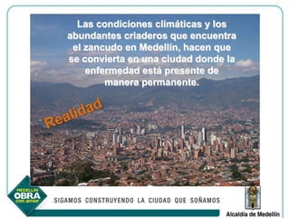 Las condiciones climáticas y los
abundantes criaderos que encuentra
 el zancudo en Medellín, hacen que
se convierta en una ciudad donde la
    enfermedad está presente de
        manera permanente.
 