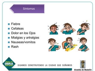 Síntomas



Fiebre
Cefaleas
Dolor en los Ojos
Mialgias y artralgias
Nauseas/vomitos
Rash
 