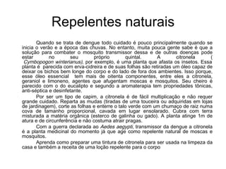 Repelentes naturais Quando se trata de dengue todo cuidado é pouco principalmente quando se inicia o verão e a época das chuvas. No entanto, muita pouca gente sabe é que a solução para combater o mosquito transmissor dessa e de outras doenças pode estar no seu próprio quintal. A citronela (   Cymbopogon winterianus) , por exemplo, é uma planta que afasta os insetos. Essa planta é  parecida com erva-cidreira e de suas folhas são retiradas um óleo capaz de deixar os bichos bem longe do corpo e do lado de fora dos ambientes. Isso porque, esse óleo essencial  tem mais de oitenta componentes, entre eles a citronela, geraniol e limoneno, agentes que afugentam moscas e mosquitos. Seu cheiro é parecido com o do eucalipto e segundo a aromaterapia tem propriedades tônicas, anti-séptica e desinfetante.  Por ser um tipo de capim, a citronela é de fácil multiplicação e não requer grande cuidado. Reparta as mudas (tiradas de uma touceira ou adquiridas em lojas de jardinagem), corte as folhas e enterre o talo verde com um chumaço de raiz numa cova de tamanho proporcional, cavada em lugar ensolarado. Cubra com terra misturada a matéria orgânica (esterco de galinha ou gado). A planta atinge 1m de atura e de circunferência e não costuma atrair pragas. Com a guerra declarada ao  Aedes aegypti , transmissor da dengue a citronela é a planta medicinal do momento já que age como repelente natural de moscas e mosquitos. Aprenda como preparar uma tintura de citronela para ser usada na limpeza da casa e também a receita de uma loção repelente para o corpo  