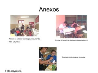 Anexos Alunos na sala de tecnologia pesquisando Foto-Cayres,S. Equipe –Esquadrão do mosquito trabalhando Preparando tintura de citronela. Foto-Cayres,S.  