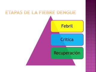 Febril
Critica
Recuperación
 