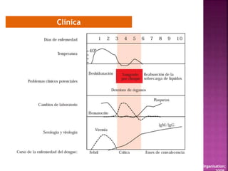 Clínica
WHO. Dengue: guidelines for diagnosis, treatment, prevention and control. New edition Geneva: World Health Organisation;
 