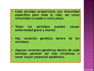 • Cada serotipo proporciona una inmunidad
específica para toda la vida, así como
inmunidad cruzada a corto plazo.
• Todos los serotipos pueden causar
enfermedad grave y mortal.
• Hay variación genética dentro de los
serotipos.
• Algunas variantes genéticas dentro de cada
serotipo parecen ser más virulentas o
tener mayor potencial epidémico.
Cell. Mol. Life Sci. (2010) 67:2773–2786
 