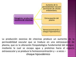 Patogénia: producción
excesiva de citocinas.
Aumento de la
permeabilidad vascular
(activación de celulas
endoteliales).
Extravasación del
plasma
Hemoconcentración y
choque hipovolemico.
La producción excesiva de citocinas produce un aumento de la
permeabilidad vascular que se traduce en una extravasación de
plasma, que es la alteración fisiopatológica fundamental del dengue,
mediante la cual se escapa agua y proteínas hacia el espacio
extravascular y se produce la hemoconcentración y – a veces –
choque hipovolémico
 