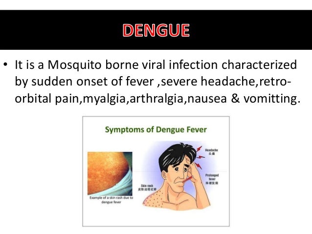 Dengue Ppt