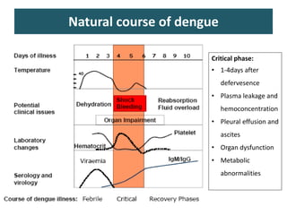 Natural course of dengue
Critical phase:
• 1-4days after
defervesence
• Plasma leakage and
hemoconcentration
• Pleural effusion and
ascites
• Organ dysfunction
• Metabolic
abnormalities
 