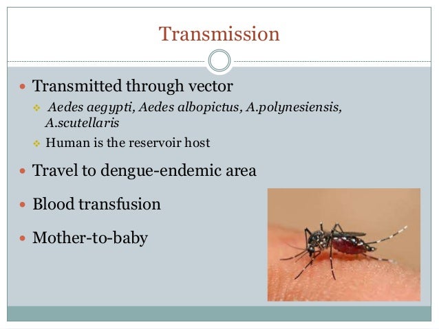 Dengue fever temperature pattern image